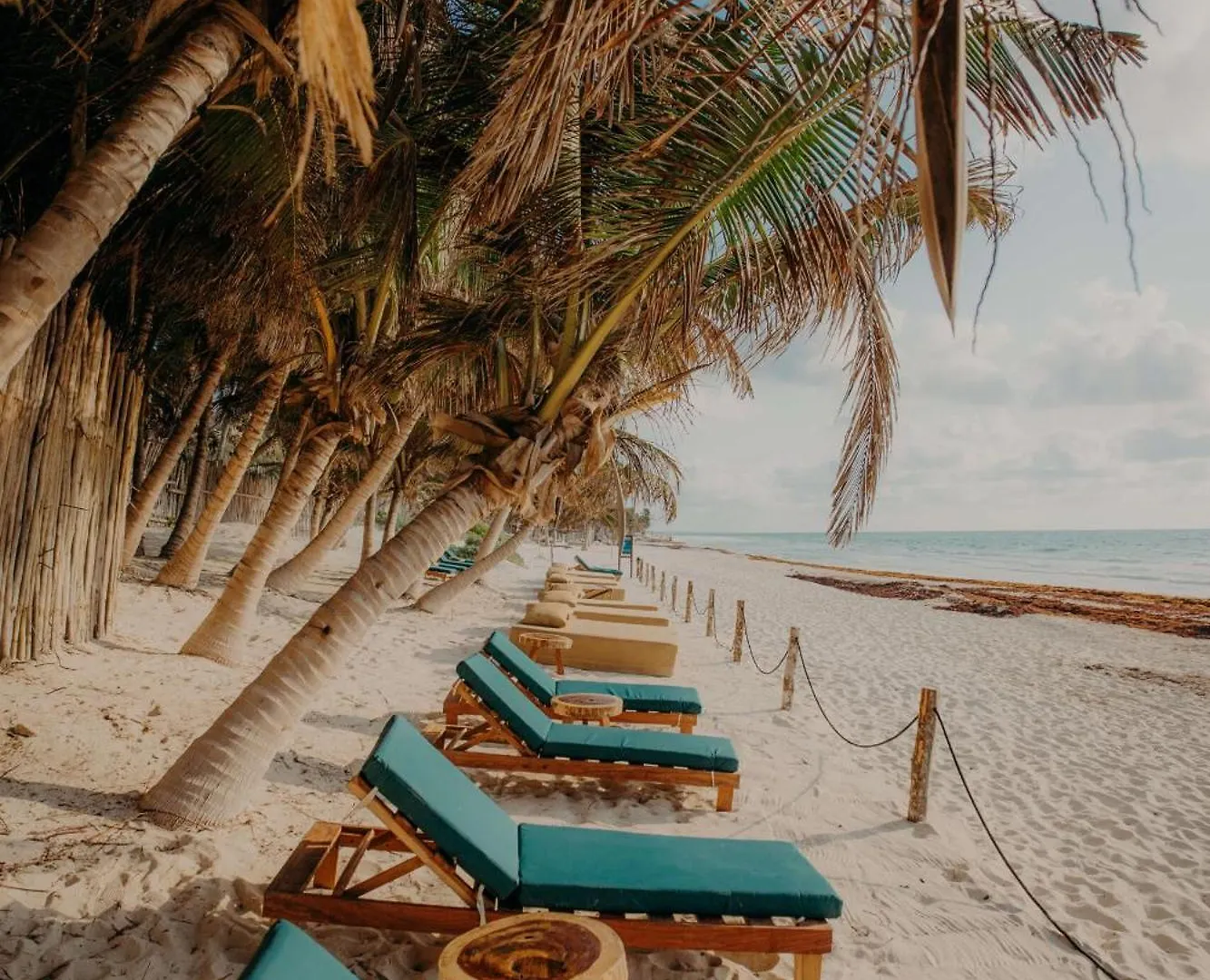 Boutique Condo With Private Pool In La Veleta Tulum