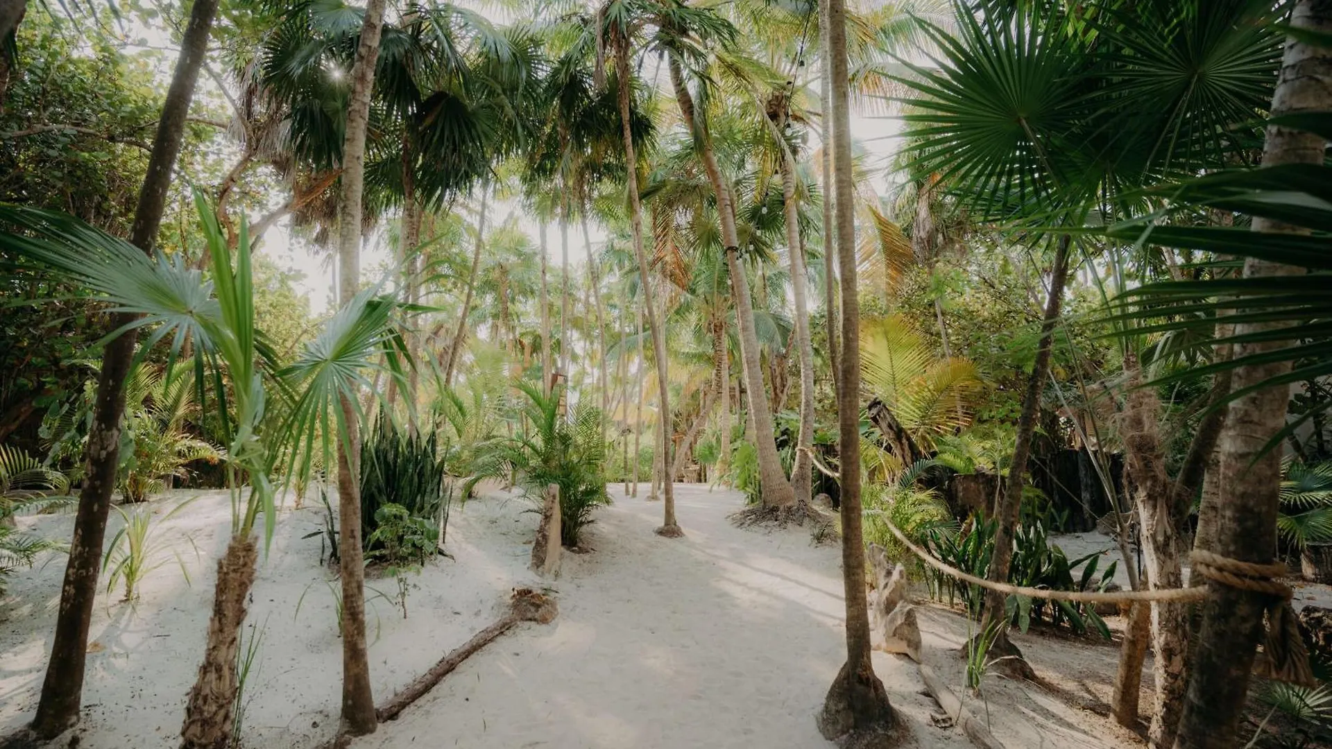 Boutique Condo With Private Pool In La Veleta Tulum 0*,